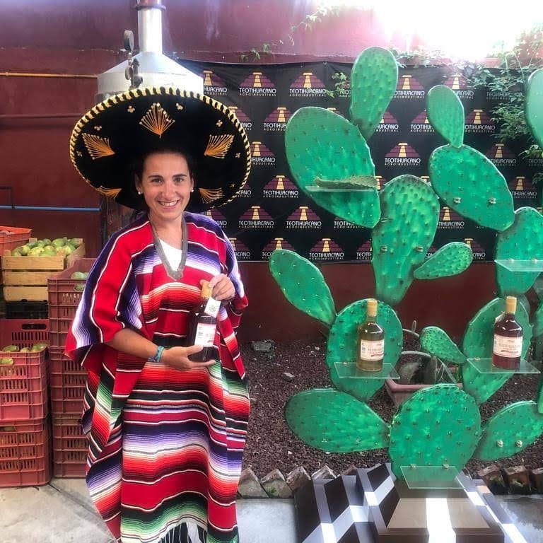 Mi viaje a México